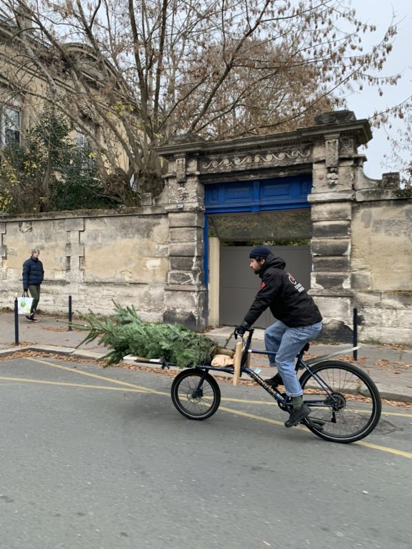 Sapin de Noël livré à Bordeaux